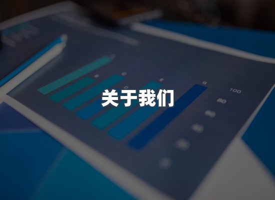 专业团队